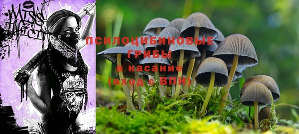 ECSTASY Сафоново