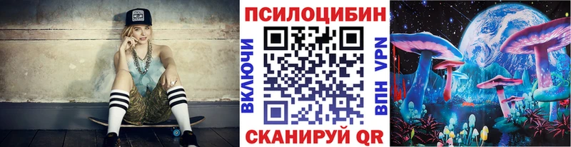 хочу   Туран  Галлюциногенные грибы Psilocybe 